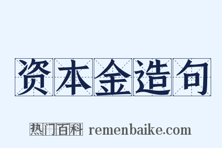 资本金造句是什么意思的图片